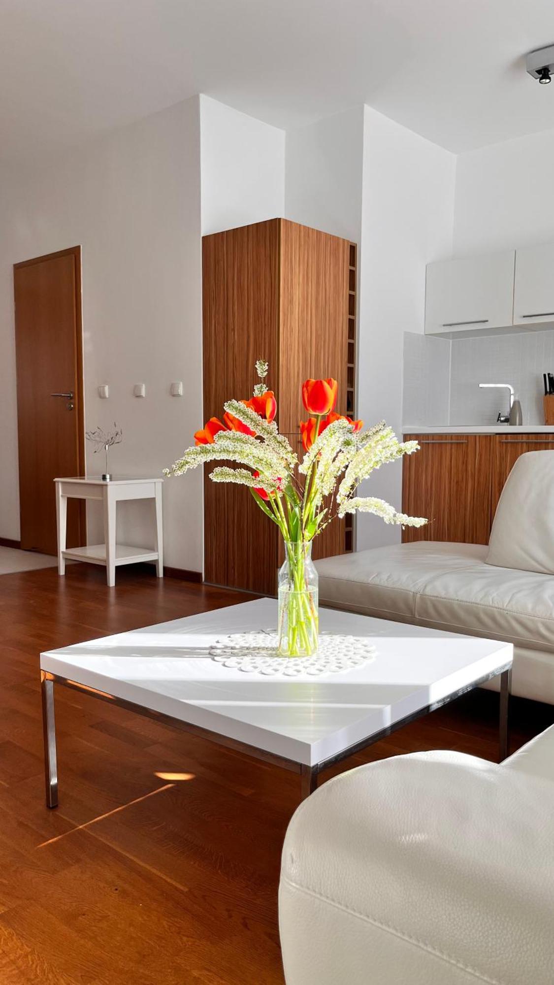 Mercury Two-Bedroom Apartment & Parking Свиноуйсьце Экстерьер фото